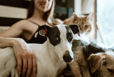 Frau sitzt mit Hund auf dem Sofa