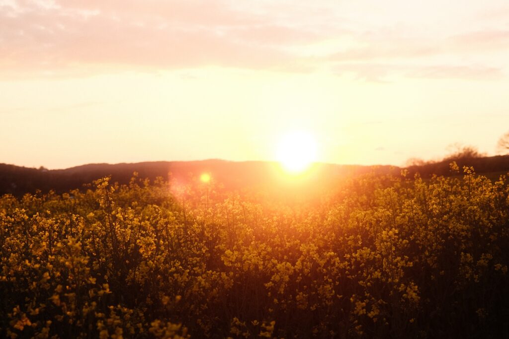 Landschaft mit Sonnenuntergang